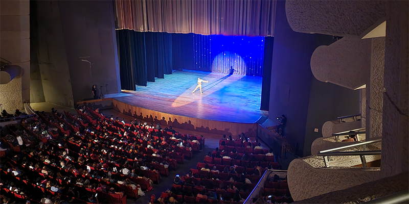 FESTIVAL DE DANZA PAVLOVA