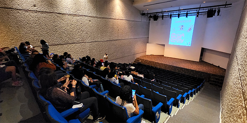 Festival de Animación Japonesa.